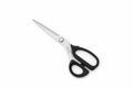KAI 10” (250mm) Dressmaking Shears – Professional Fabric Scissors